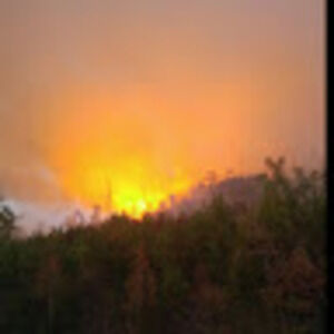 Meet your Posher, Vic